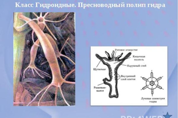Кракен маркетплейс kr2web in площадка торговая