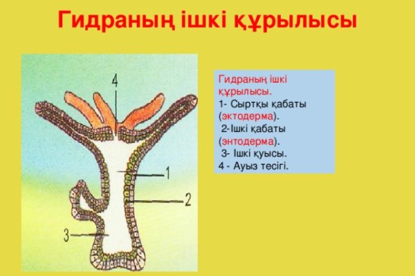 Как вернуть аккаунт на кракене