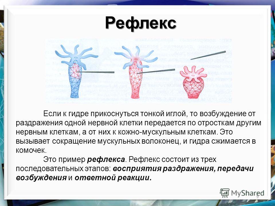 Кракен даркнет зеркало